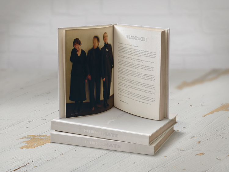 Hibernate. The Project by Helena Lehtinen, Eija Mustonen and Tarja Tuupanen