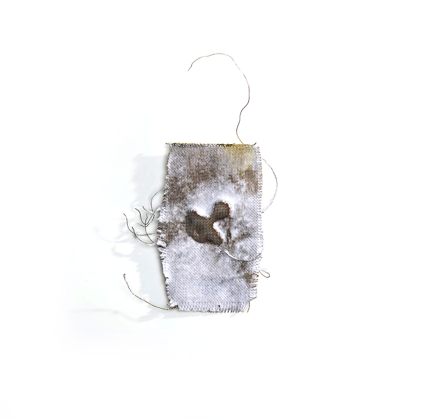 Home by Eden Herman Rosenblum, Tami Vardi and Vered Cats
