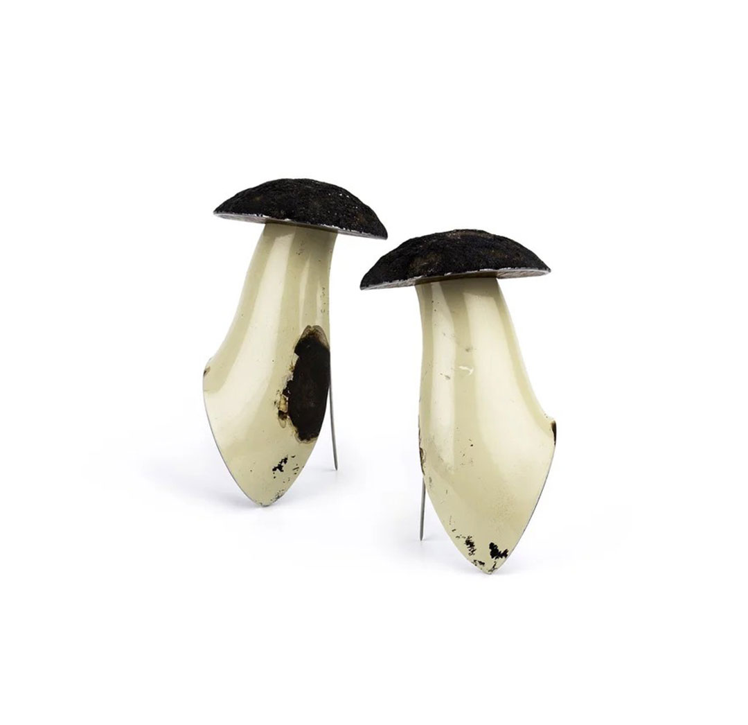 Mycelium of Things by Philipp Spillmann