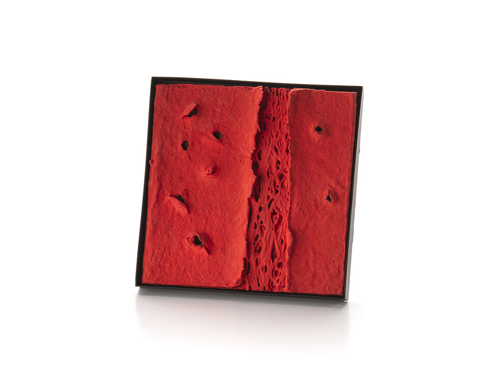 The Seed of Matter by Corrado De Meo and Ivo Lombardi