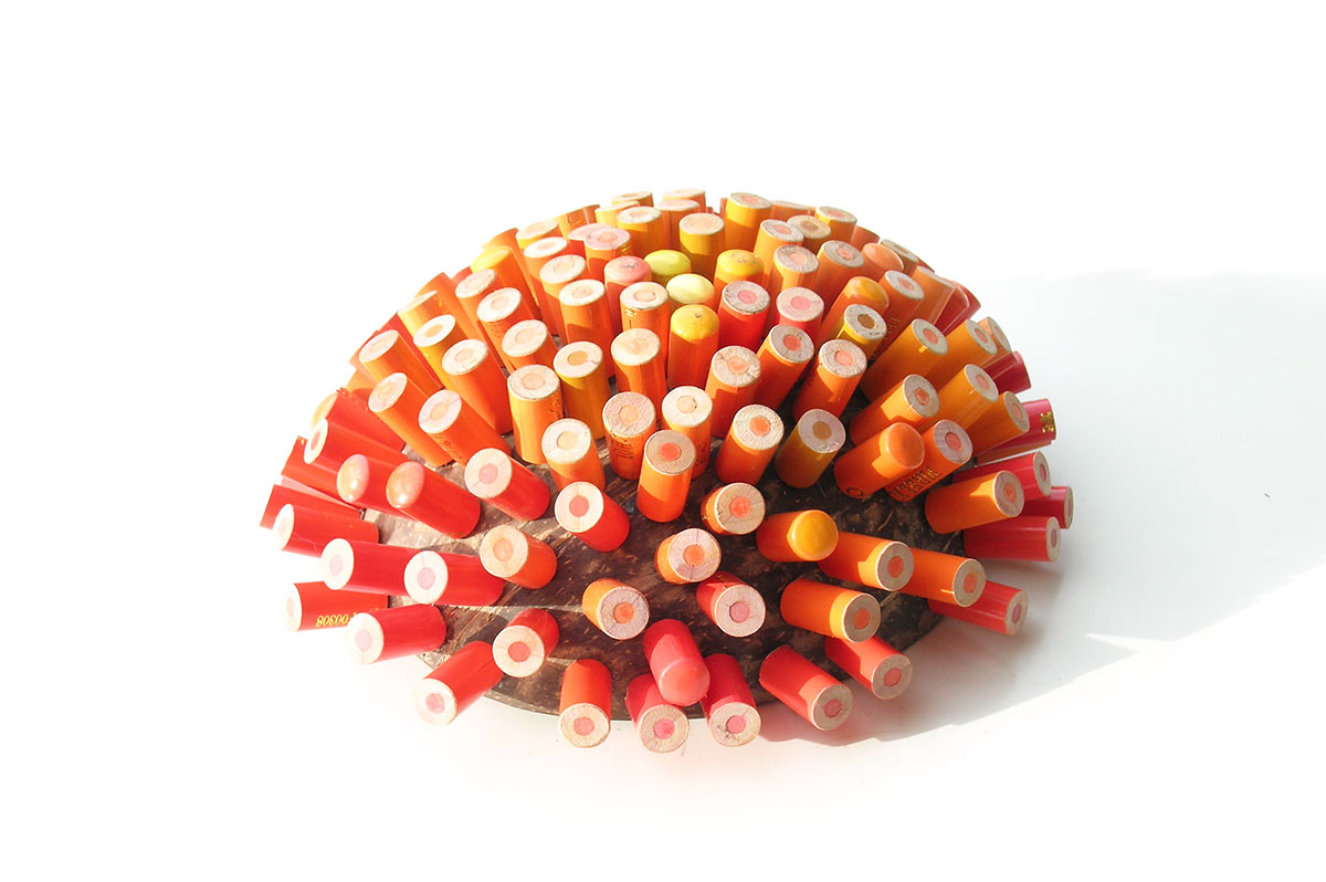 Bellucci, Maria Cristina