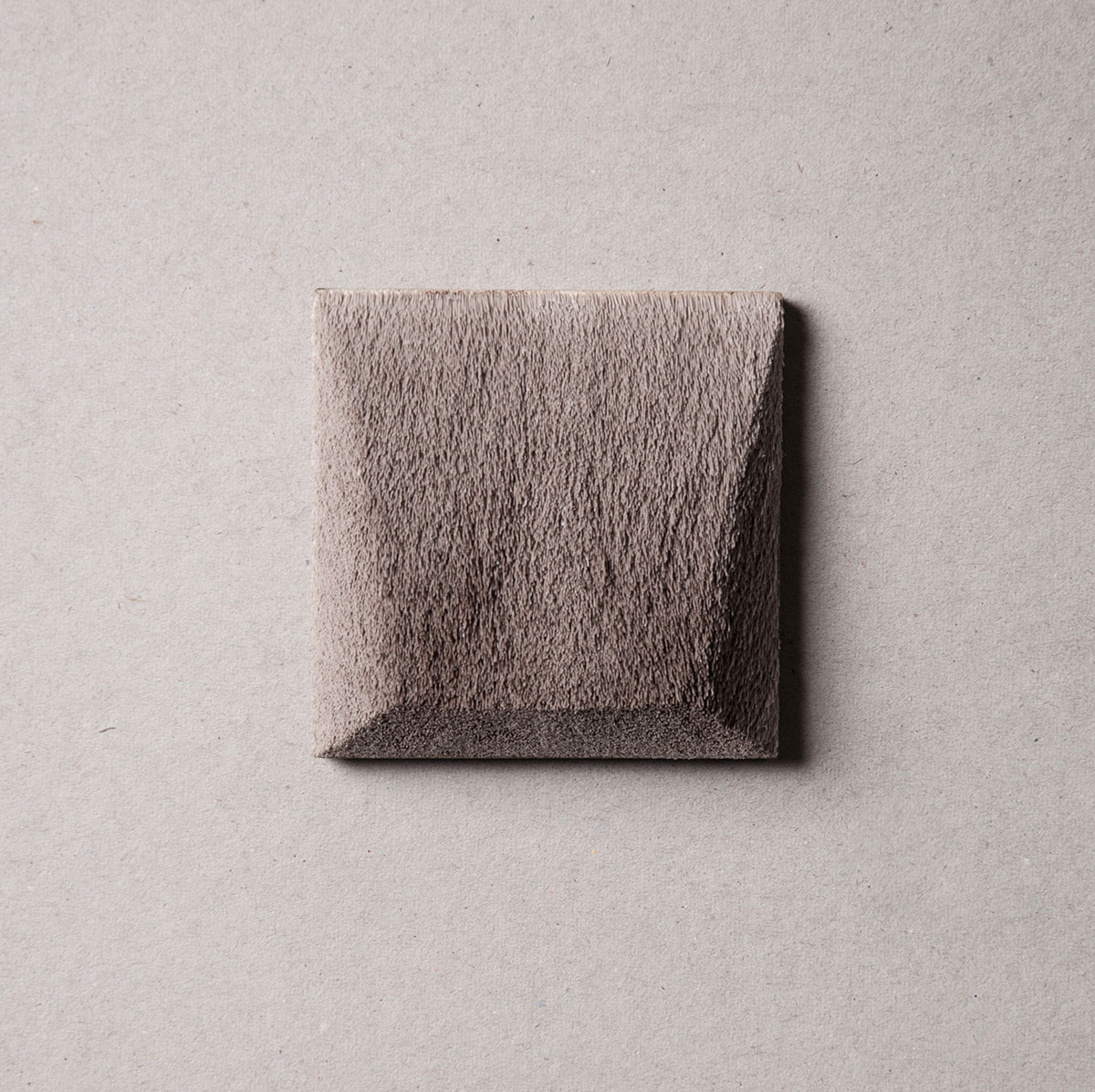 Pilosities by Carla Castiajo, Lore Langendries and Marie Masson